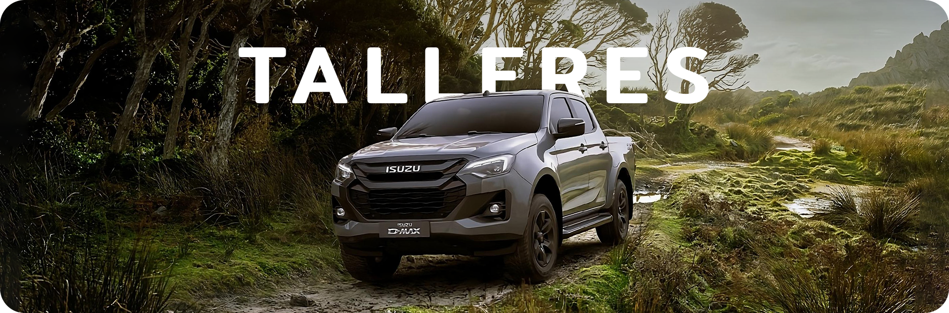 Isuzu Teruel - foto vehículo 